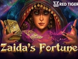 Zaida's Fortune game icon
